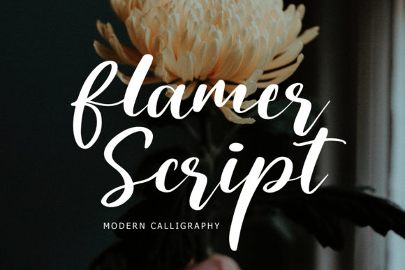 Flamer Script: Balancing Strength and Softness in Modern Calligraphy